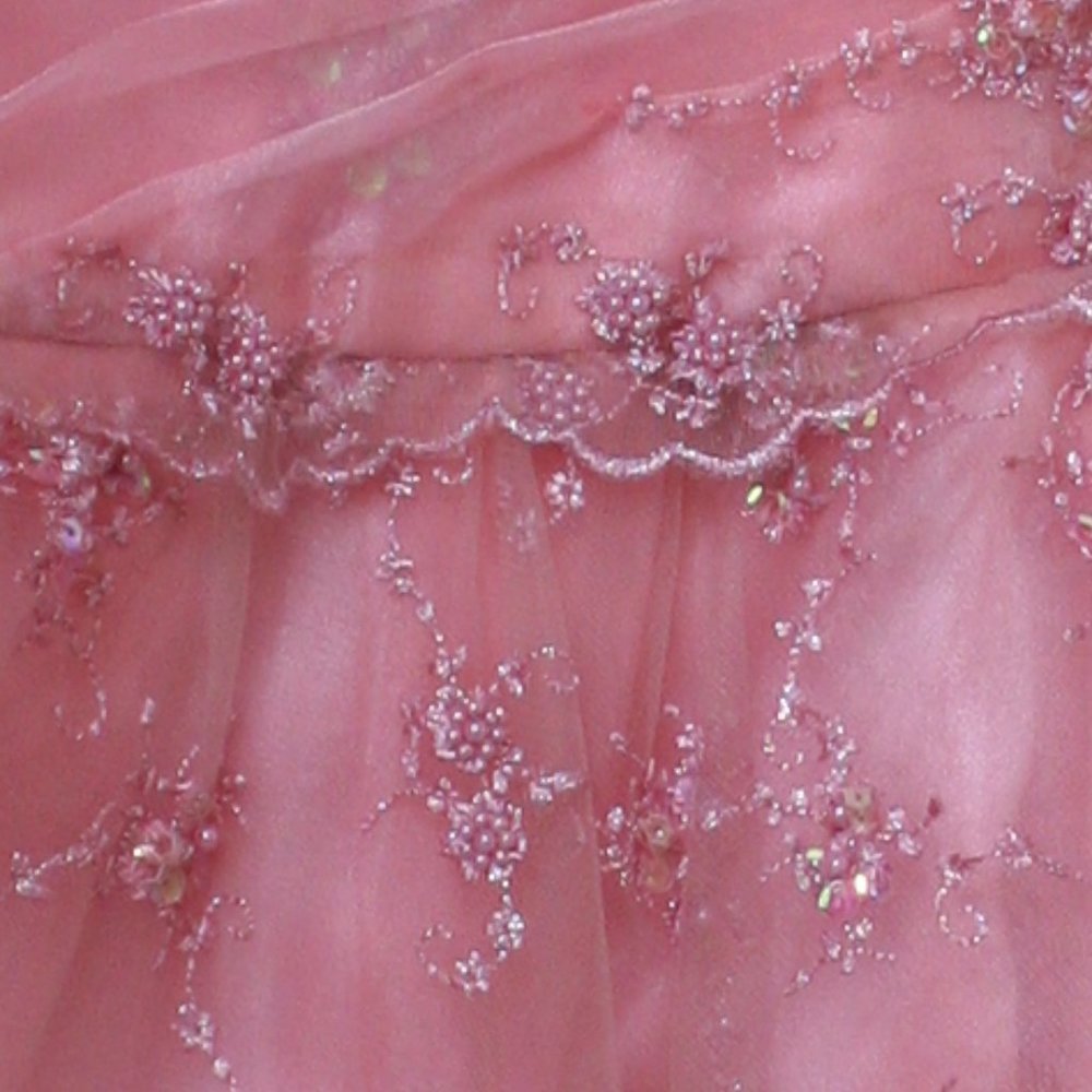 Formal Gown /Size L / 12 - Picture 14 of 14